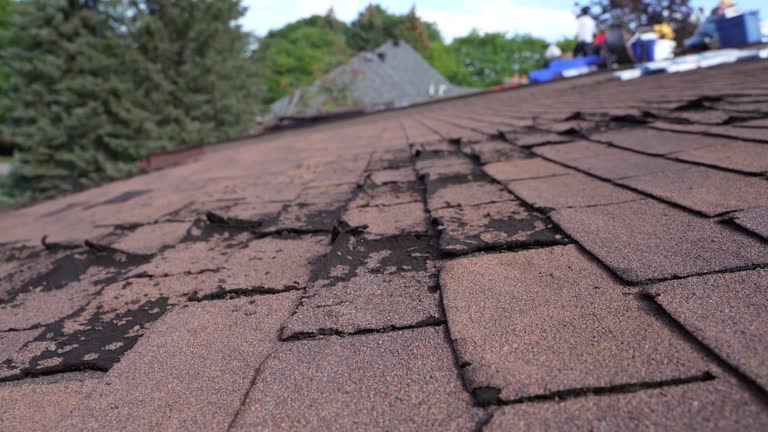 Best Gutter Installation and Repair  in Fords Prairie, WA